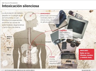 impacto en la salud del ser humano